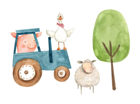 Watercolor animals Farm illustration pig sheep duck 