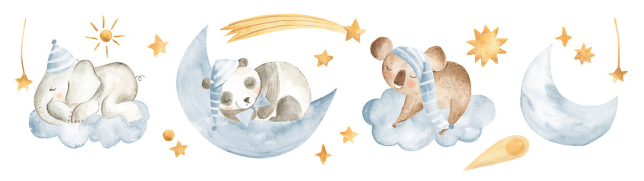 Watercolor Animals Baby Sleeping Nursery Panda Elephant Koala Boys Blue