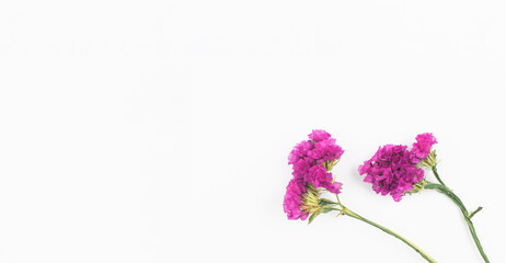 Flat lay floral composition on a white background with dried flowers, copy space banner