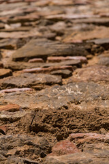 Detail of A Weathered Brick Wall on a Sunny Day