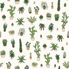 Cactus plants seamless vector hand drawn pattern