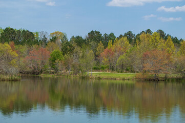Fototapeta na wymiar Spring Landscape with Trees, Little Mulberry Park, GA