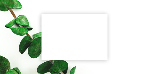 Blank paper floral and flower mockup background, greeting card, birthday invitation concept on a white background