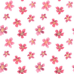 Cherry blossom pink watercolor seamless pattern