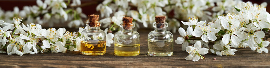Panoramic header of essential oil bottles with blooming spring trees
