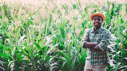 Naklejka na ściany i meble African farmer man standing at organic farm with smile and happy.Agriculture or cultivation concept
