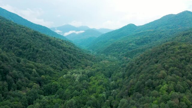 Drone shoot of a mountains with forest in Sochi in summer