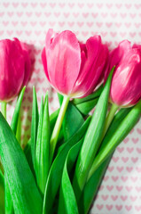 Beautiful pink tulips on a background with pink hearts, a gift for Valentine's Day, Women's Day or for the Spring Festival