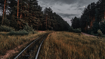 Old railway in the forest