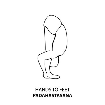 Man practicing yoga pose isolated outline Illustration. Man standing in hands to feet pose, padahastasana, Yoga Asana line icon