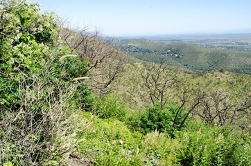 Monta&ntilde;a, paisaje, naturaleza, cerro, soledad, bosque, alturas, cielo, arboles