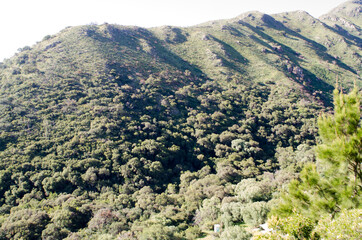 Montaña, paisaje, naturaleza, cerro, soledad, bosque, alturas, cielo, arboles