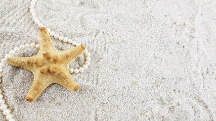 Fototapeta na wymiar starfish on the beach. pearls on the sand