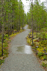 Fragment of Nita Lake Trail in Whistler, Vancouver, Canada.
