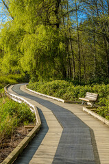 Fragment of Deer Lake trail in Vancouver, Canada.
