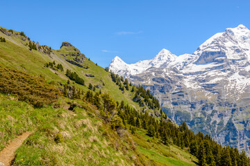 Obraz premium View of beautiful landscape in the Alps with fresh green meadows and snow-capped mountain tops in the background on a sunny day with blue sky and clouds in springtime.
