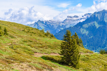 Obraz premium Crossing the Alps. Hiking trail in the Alps.