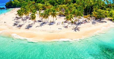 Aerial drone view of beautiful caribbean tropical island Cayo Levantado beach with palms. Bacardi Island, Dominican Republic. Vacation background.