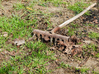 the rake is lying on the green grass