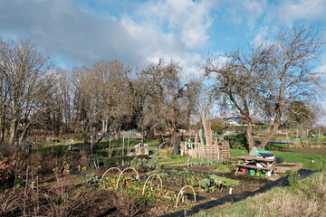 garden allotment 