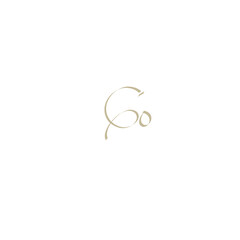 Go handwritten logo for identity