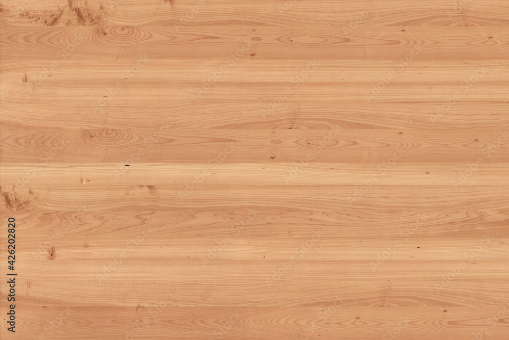 Wall mural maple tree timber background texture structure surface