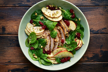 Fresh salad with baby spinach, apple, grillead chicken and dried cranberry. Top view with copy space.