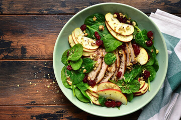 Fresh salad with baby spinach, apple, grillead chicken and dried cranberry. Top view with copy...
