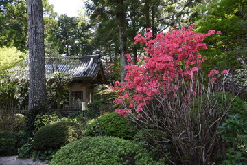 Fototapeta na wymiar Famous tourist attractions in Japan Zen temple 'Ryotanji'. Hamamatsu, Shizuoka.