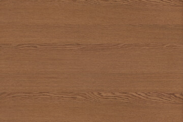 Fototapeta premium brown oak tree wood wallpaper structure texture background