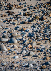 The shoreline at Asilomar Beach, in Pacific Grove, along the Monterey Bay in central California, is partly sandy and partly rocky.  