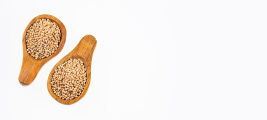 Organic white millet seeds - Healthy Food