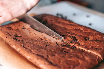 Freshly baked aromatic chocolate brownie
