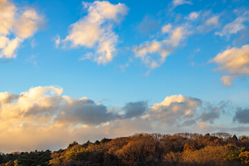 夕日で赤く色づく冬の山と青空