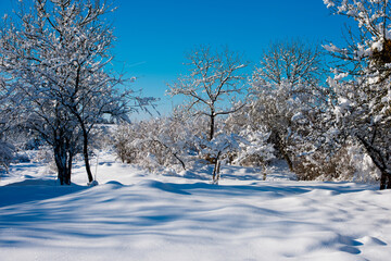 La neige