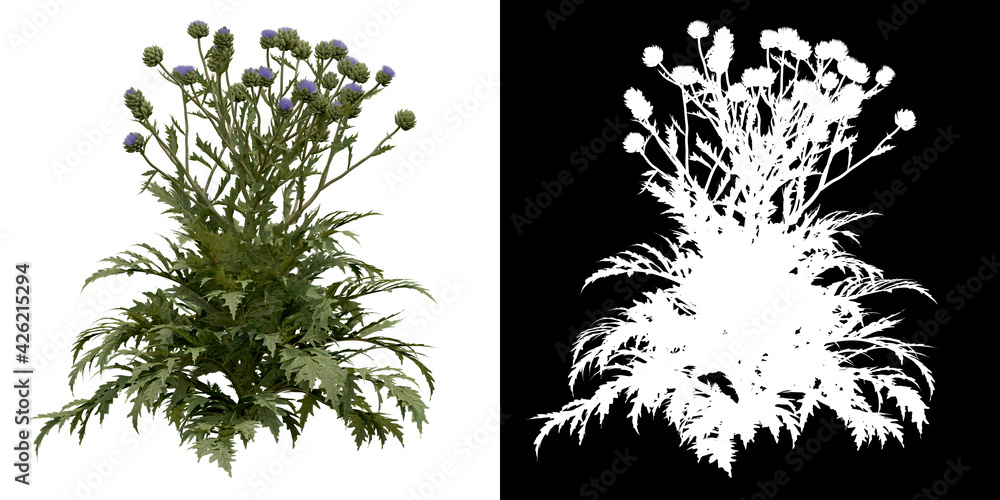 Canvas Prints front view of tree (cynara scolymus) png with alpha channel to cutout 3d rendering