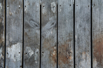 gray wood texture. Background dark old wooden panels.