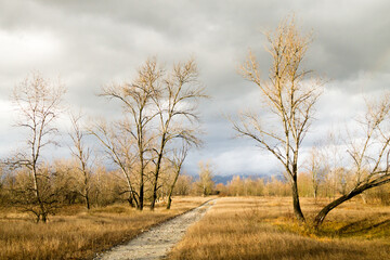 Rural landscape, dirt path through countryside.