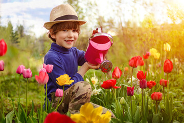 Сhild in the garden watered flowers from a watering can in the summer. Kid gardener has fun working in the park in spring. A boy in a hat enjoys caring for plants, grooming tulips. Bottom view