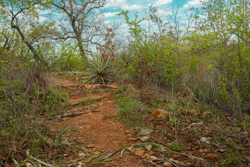 Lake state park, Brownwood Texas, nature landscape