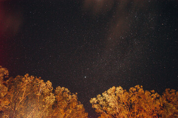 Sesiones de fotografia en Punta del Este
