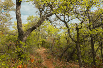 Lake state park, Brownwood Texas, nature landscape