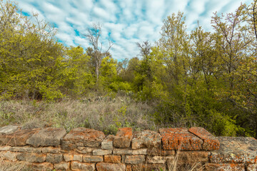 Lake state park, Brownwood Texas, nature landscape