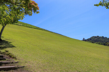 緑の芝生に覆われた若草山の斜面