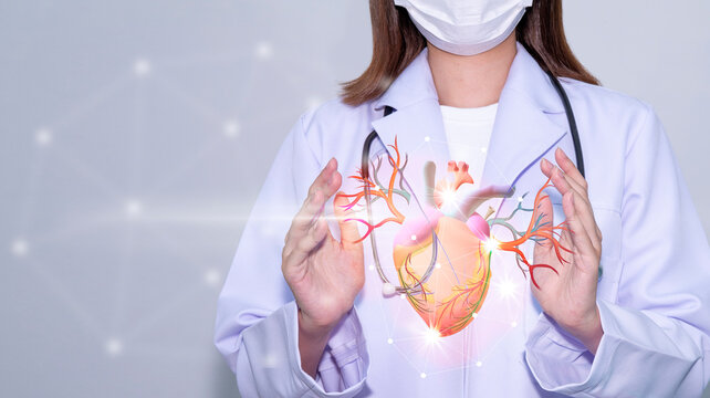 Doctor Hands holding a Heart in the hands with care of the medical treatment,The concept of Heart surgical treatment Healthcare.