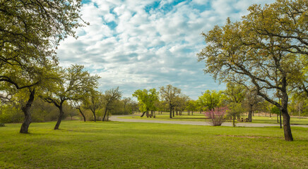 Fototapeta na wymiar Lake state park, Brownwood Texas, nature landscape