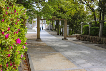 新緑とツツジの花に彩られた廣田神社の参道