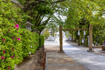 春の緑に囲まれた廣田神社の参道