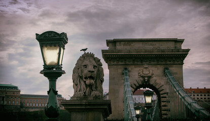 Entrance of Chain bridge with a lion statue in Budapest, Hungary.
