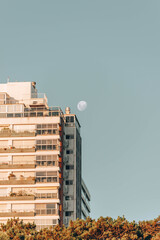 Playa Mansa, Punta del Este 